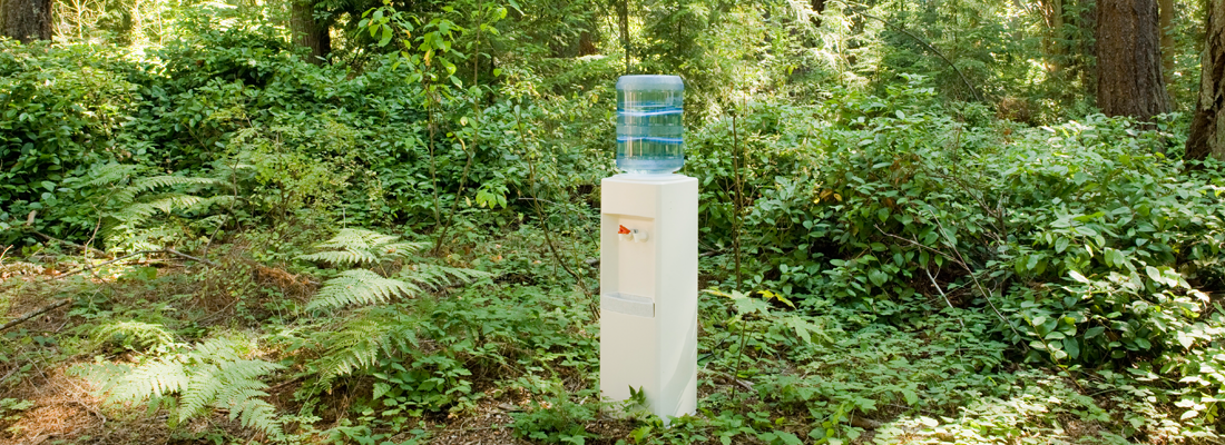 Ein Wasserspender mitten im Wald